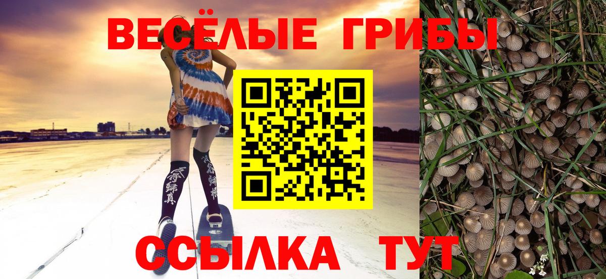 Галлюциногенные грибы мицелий Малгобек