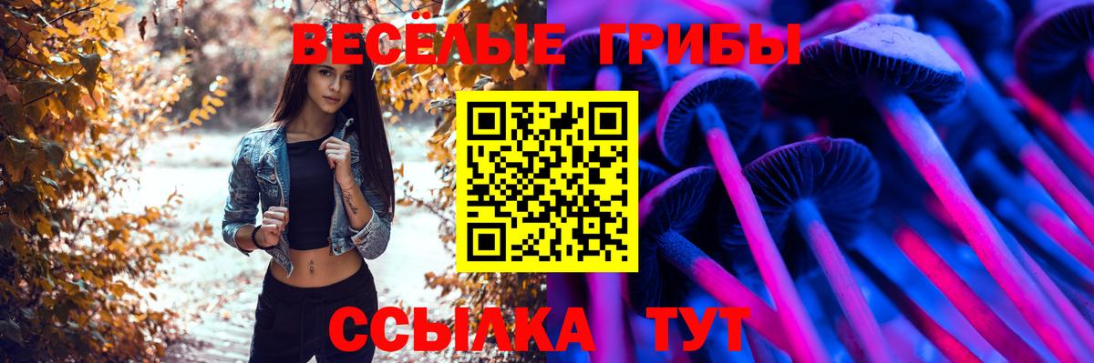 Галлюциногенные грибы Cubensis  Вход с VPN  Псилоцибиновые грибы Psilocybe  Малгобек 